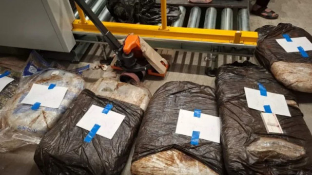 На ГКПП Гюешево осуетиха опит за контрабанда на марихуана за