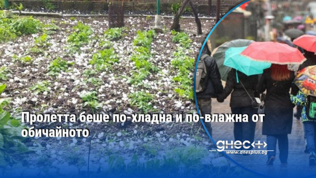 Най висока температура е измерена на 5 май в Русе