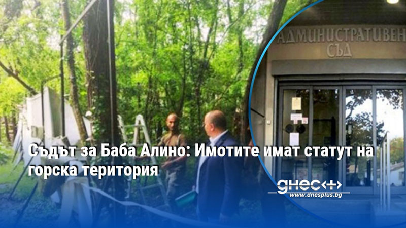 Съдът за Баба Алино: Имотите имат статут на горска територия