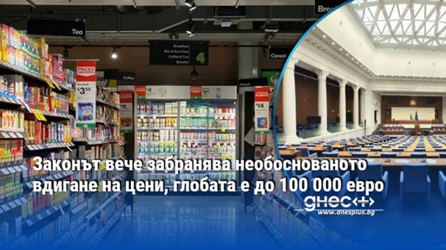НС гласува на второ четене промени в Закона за защита