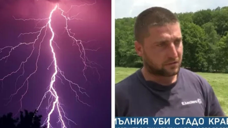 Мъжът, загубил животните си край Калофер:Мъка е. Градих това стадо от дете, а мълнията го взе за миг