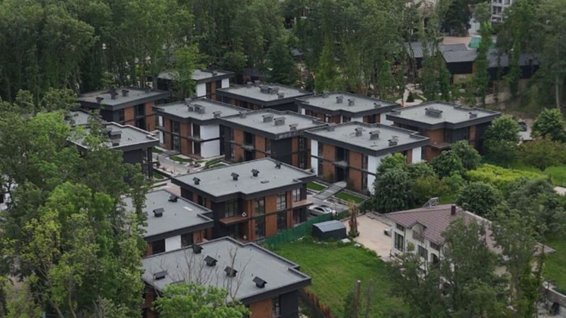 Брокер за Баба Алино: Някой някъде не си е получил "възнаграждението"