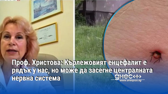 Два случая на кърлежов енцефалит са регистрирани в България за