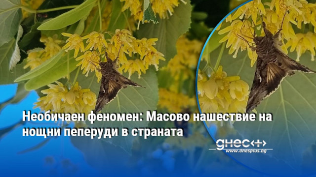 Според специалистите явлението не е повод за тревога и не