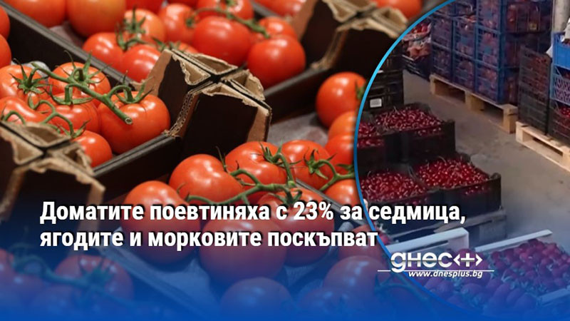 Доматите поевтиняха с 23% за седмица, ягодите и морковите поскъпват