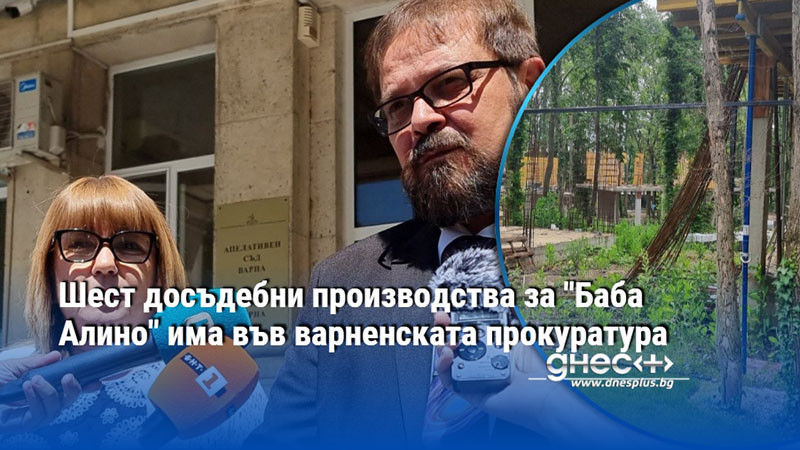 Шест досъдебни производства за "Баба Алино" има във варненската прокуратура
