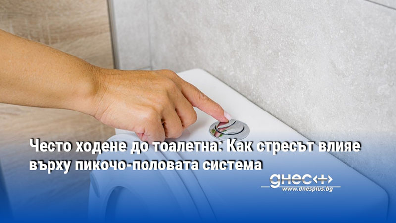 Често ходене до тоалетна: Как стресът влияе върху пикочо-половата система