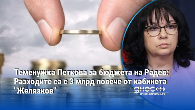 Бившият финансов министър Теменужка Петкова коментира план сметката на държавата