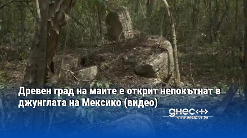 Древен град на маите е открит непокътнат в джунглата на Мексико (видео)