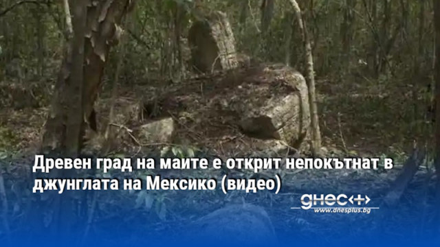 Гъстата джунгла на биосферния резерват Калакмул в щата Кампече пази