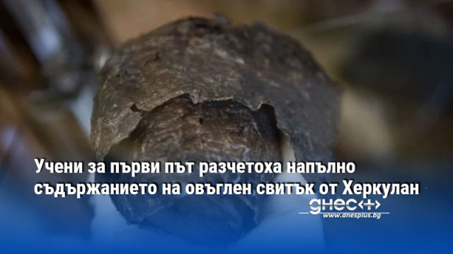 Изследователи използващи изкуствен интелект и усъвършенствана образна диагностика са успели