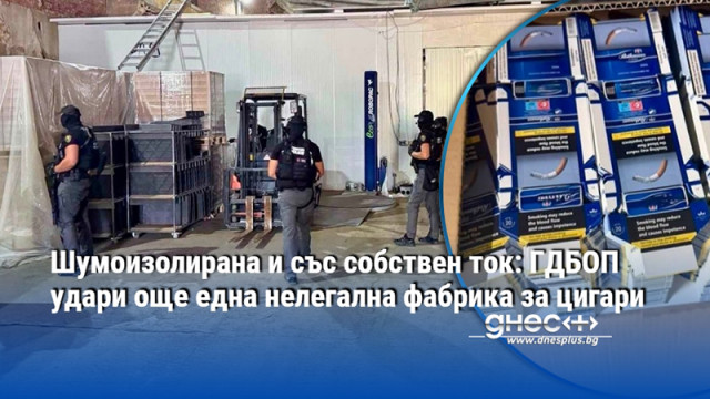 Вече са задържани 9 души седем чуждестранни граждани и двама