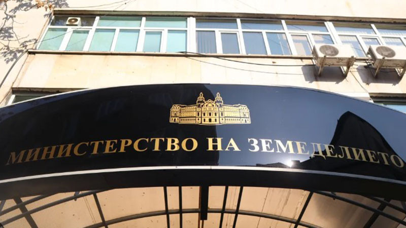 Министерство на земеделието предлага ограничения за заплатите на ръководствата в горски предприятия