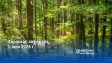 Хороскоп за неделя, 5 юли 2026 г.