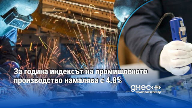За година индексът на промишленото производство намалява с 4.8%