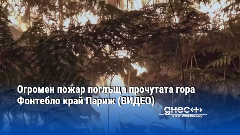 Огромен пожар поглъща прочутата гора Фонтебло край Париж (ВИДЕО)