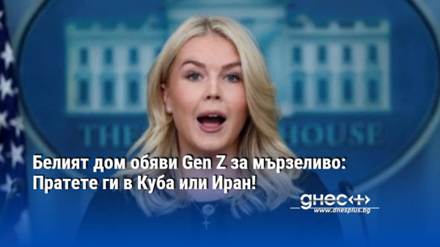 Прессекретарят на Белия дом Каролайн Левит обвини собственото си поколение