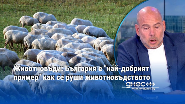 Евпропейският съюз вече не може да се изхранва сам заяви