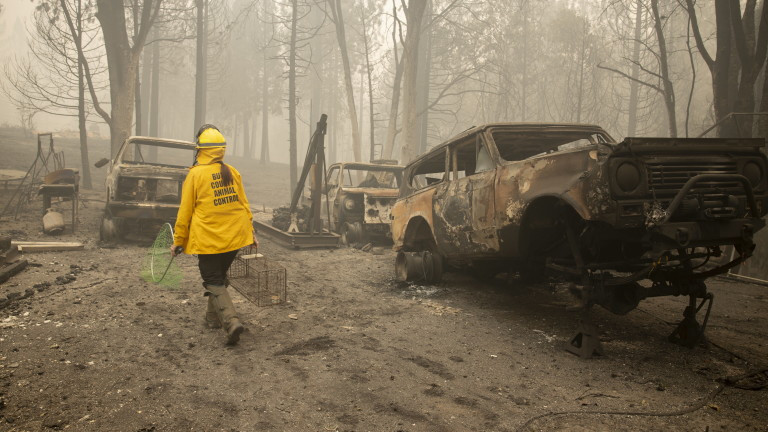 Над 30 загинали в горските пожари по западното крайбрежие на САЩ