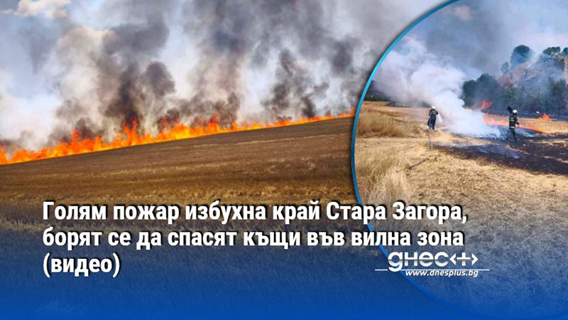Голям пожар избухна край Стара Загора, борят се да спасят къщи във вилна зона (видео)