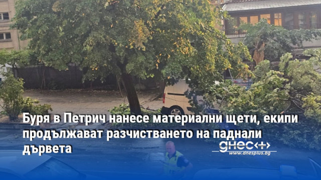 Проливен дъжд и силен вятър причиниха щети в Петрич движението