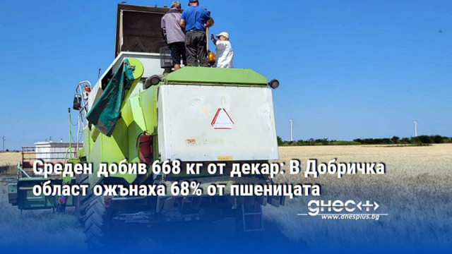 Най висок среден добив се отчита в община Крушари –