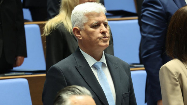Министърът на отбраната Димитър Стоянов заяви пред  че лично би подкрепил Илияна