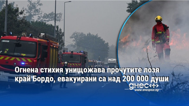 Огнена стихия унищожава прочутите лозя край Бордо, евакуирани са над 200 000 души