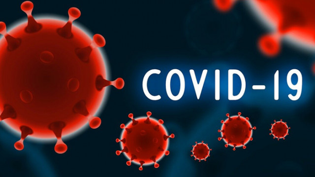 Проучване: Здравеопазването показва устойчивост около кризата COVID-19
