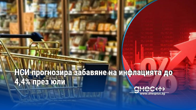 НСИ прогнозира забавяне на инфлацията до 4,4% през юли