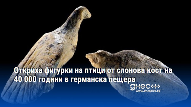 Откриха фигурки на птици от слонова кост на 40 000 години в германска пещера