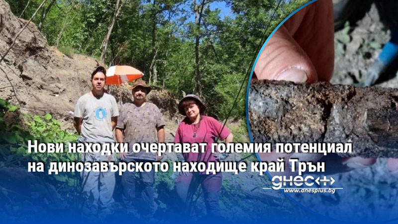 Нови находки очертават големия потенциал на динозавърското находище край Трън