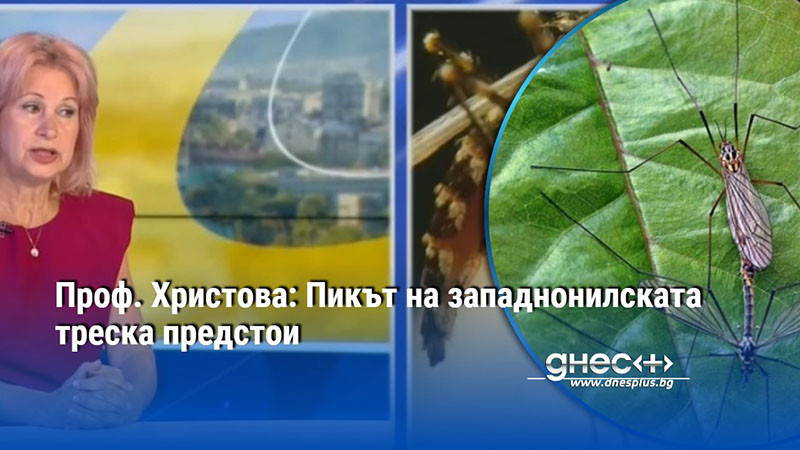 Проф. Христова: Пикът на западнонилската треска предстои