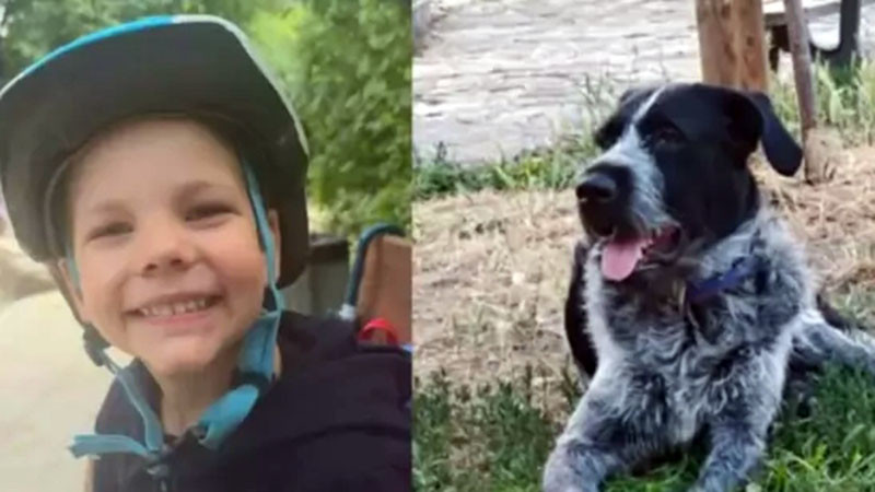Откриха 4-годишното момче, изчезнало край село Радово, кучето го е пазело, докато дойдат спасителите