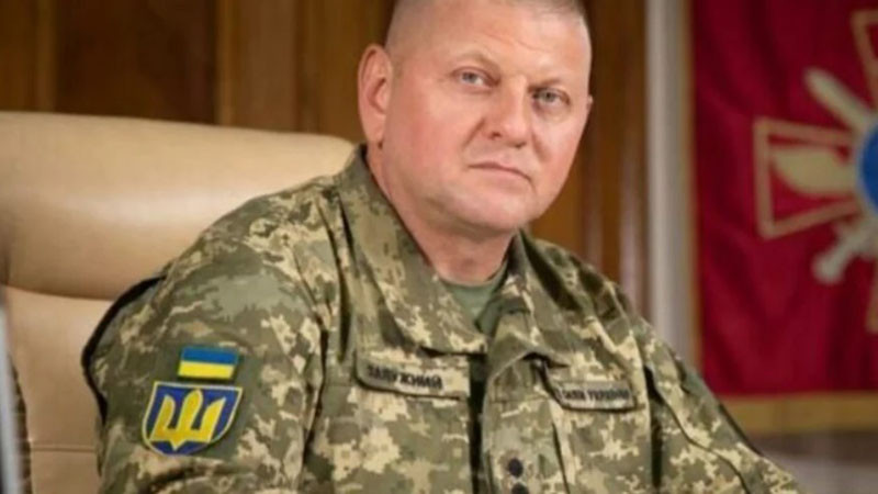 Залужни: Украйна никога няма да стане член на НАТО, защото не може да покрие стандартите