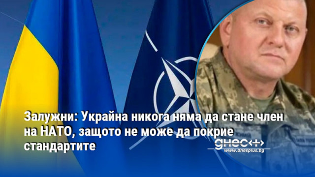 Залужни: Украйна никога няма да стане член на НАТО, защото не може да покрие стандартите