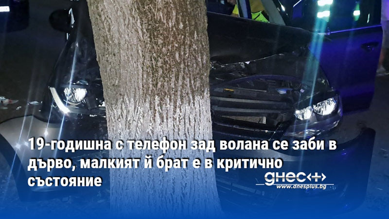 19-годишна с телефон зад волана се заби в дърво, малкият й брат е в критично състояние
