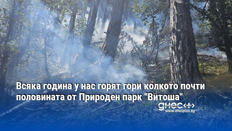 Всяка година у нас горят гори колкото почти половината от Природен парк "Витоша"