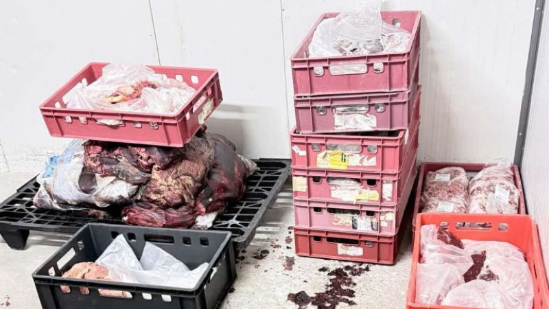 БАБХ не се спира и през лятото: Над 150 тона стоки от трети държави не са допуснати у нас