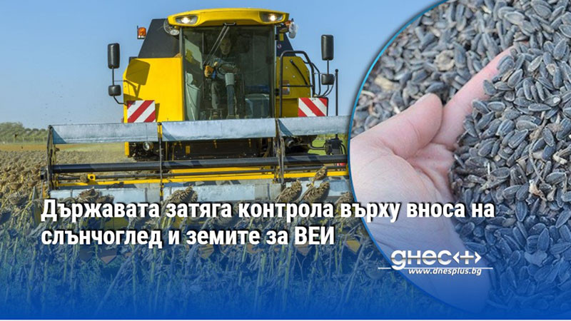 Държавата затяга контрола върху вноса на слънчоглед и земите за ВЕИ