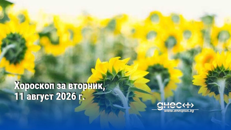 Хороскоп за вторник, 11 август 2026 г.