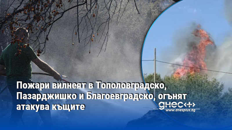 Пожари вилнеят в Тополовградско, Пазарджишко и Благоевградско, огънят атакува къщите