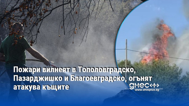 Пожари вилнеят в Тополовградско, Пазарджишко и Благоевградско, огънят атакува къщите
