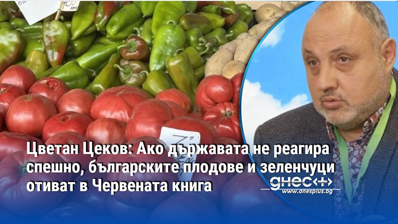 Цветан Цеков: Ако държавата не реагира, българските плодове и зеленчуци отиват в Червената книга