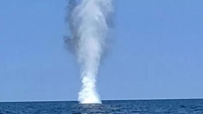 Румънски водолази са унищожили два дрона тип „Гербера“ до офшорния газов проект „Нептун Дийп“