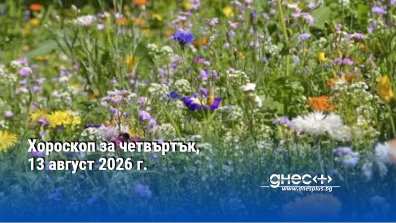 Хороскоп за четвъртък, 13 август 2026 г.