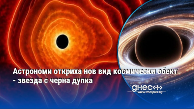 Астрономи откриха нов вид космически обект - звезда с черна дупка