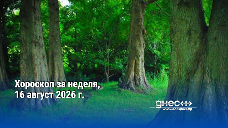 Хороскоп за неделя, 16 август 2026 г.