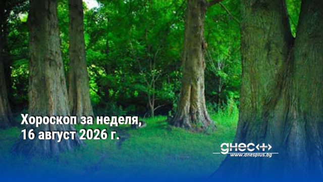 Хороскоп за неделя, 16 август 2026 г.
