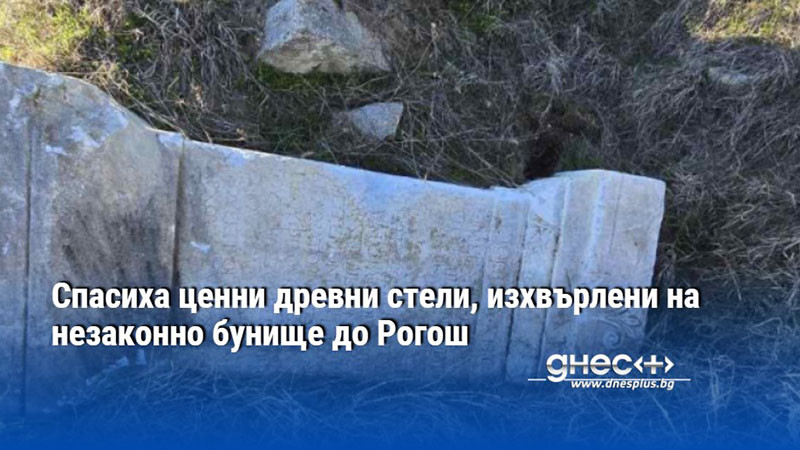 Спасиха ценни древни стели, изхвърлени на незаконно бунище до Рогош